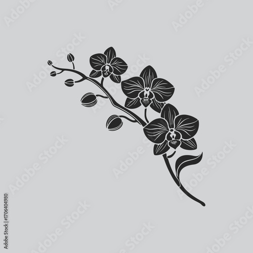 Beautiful Orchid Blossom Silhouette Art