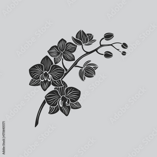 Decorative Orchid Plant Vector Image