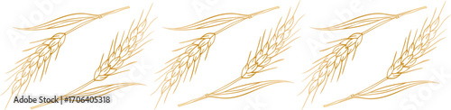 elegant vector abstract golden wheat harvest pattern ornate border for design and decor