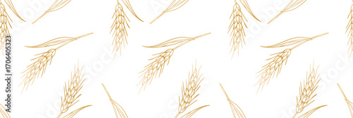 autumn harvest seamless pattern hand drawn wheat or barley golden spikes white background monochrome simple creative design packaging