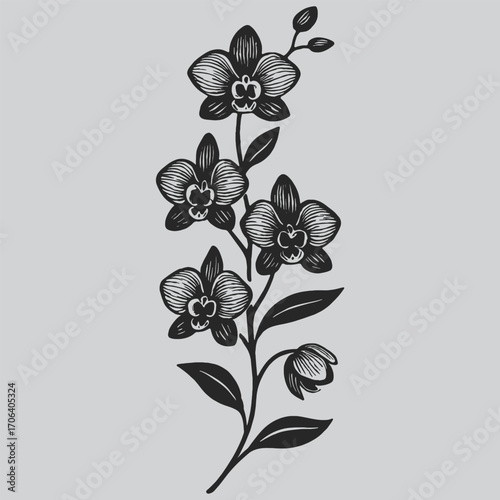 Elegant Orchid Bloom Icon Vector