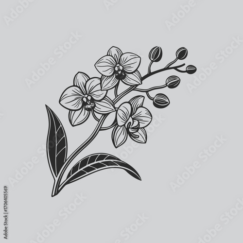 Elegant Orchid Floral Clipart Design