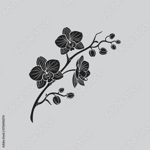 Artistic Orchid Silhouette Drawing