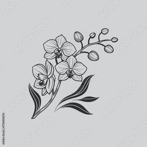 Stylish Orchid Line Art for Printing