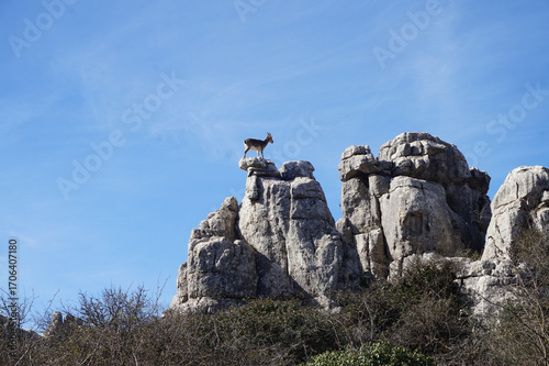 Majestic Spanish Ibex Standing Atop Limestone Rock Formations in the Stunning Natural Landscape of Torcal de Antequera, Malaga, Spain