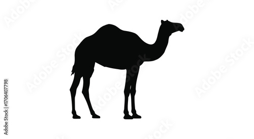a silhouette of a camel standing tall against white background