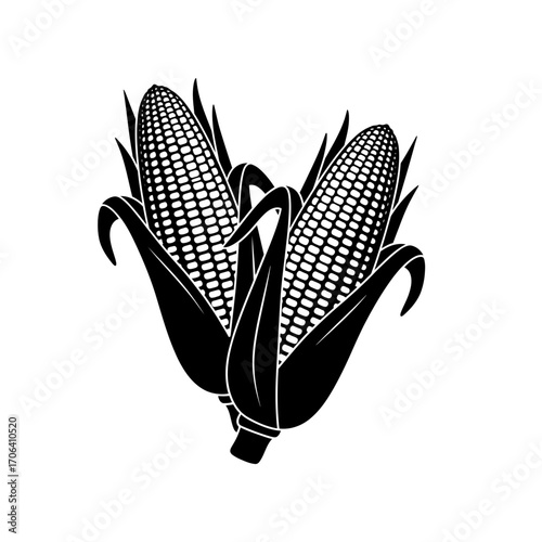 Vector art of two ears of corn on the cob, a staple food in many cultures, , a healthy and nutritious vegetable option