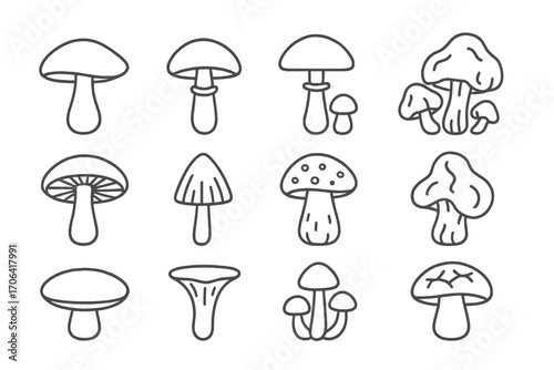 Poisonous Mushroom Icons. Line style icons of poisonous mushrooms: death cap, destroying angel, fool’s mushroom, jack-o’-lantern;
