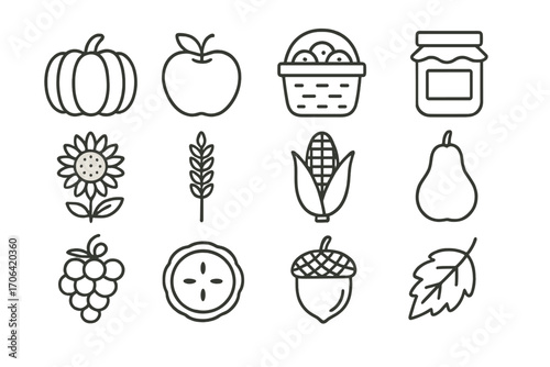 Autumn Harvest Icons. Line style icons of autumn harvest items: pumpkin, apple, harvest basket, jam jar; sunflower, wheat stalk,