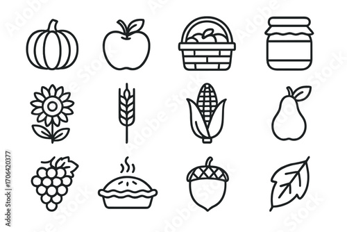 Autumn Harvest Icons. Line style icons of autumn harvest items: pumpkin, apple, harvest basket, jam jar; sunflower, wheat stalk,