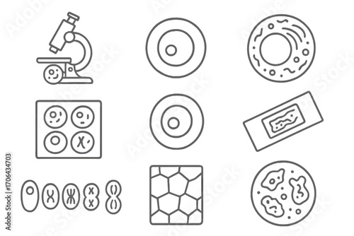 Cell Biology Icons. Line style icons of cell biology and lab analysis: microscope cell view, nucleus icon, cytoplasm diagram,