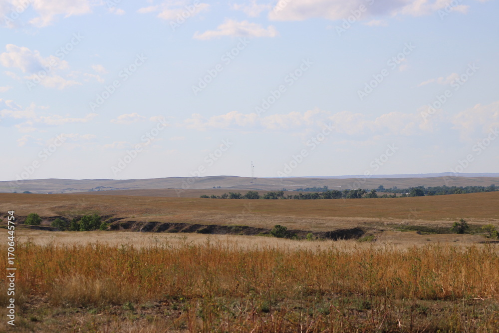 Fototapeta premium country landscape