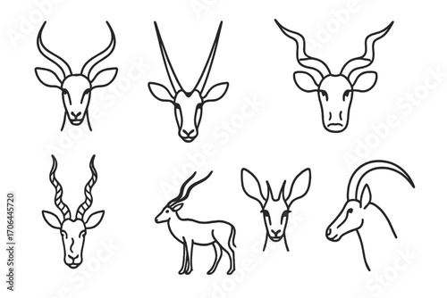 Antelope Icons Collection. Line style icons of antelope variants: impala head, oryx with straight horns, kudu spiral horn face,