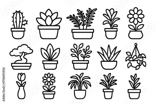 Potted Plant Icons. Line style icons of potted plants: small cactus, succulent in pot, fern in planter, flower in ceramic pot;
