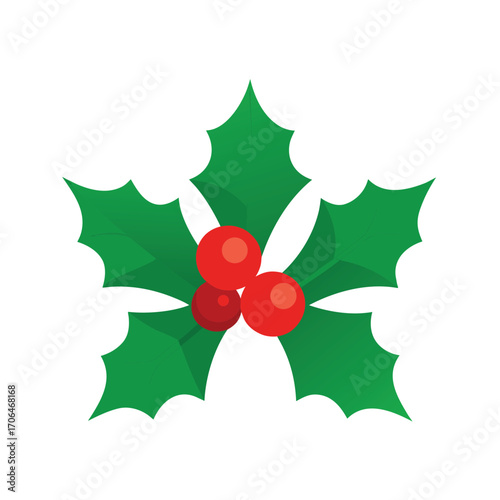 holly leaves and berries on white background 