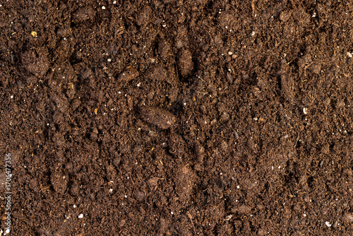 details of brown fertile soil for growing seedlings or use to improve the soil quality in the field, fertile soil mixed with white pieces of perlite