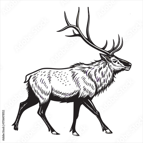 Reindeer Silhouette Vector