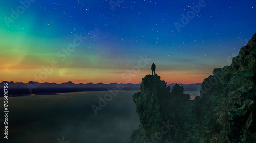 Person Standing on Cliff Overlooking Night Sky with Stars and Northern Lights