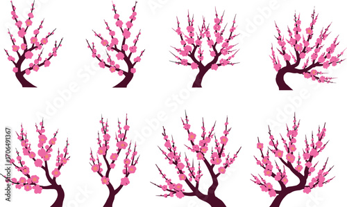 Pink plum blossom branches, spring flowers, blooming tree branches, floral nature, delicate petals, seasonal flora, botanical illustration, garden beauty, natural bloom