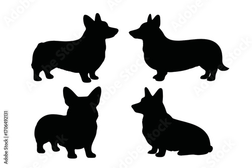 Silhouetted Dogs: Quadruple Canine Silhouettes