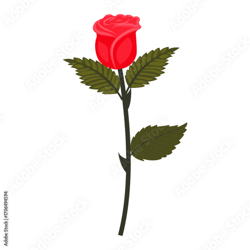 Bright red rose. Elegant flower on a slightly inclined stem. Vector illustration isolated on a white background.