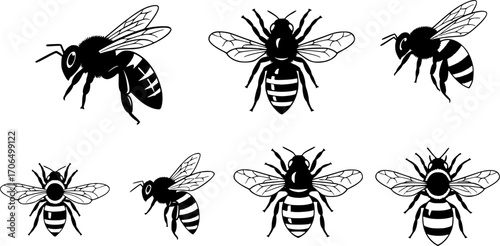 vector Honey bee silhouette, Honeybee silhouettes, Bee silhouettes, Flying bee silhouette, Honey bee icon, Bee vector illustration set