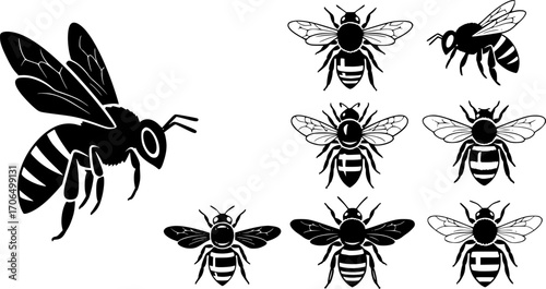 vector Honey bee silhouette, Honeybee silhouettes, Bee silhouettes, Flying bee silhouette, Honey bee icon, Bee vector illustration set