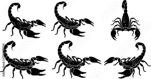 scorpion silhouette line art vector illustration with a white background set
