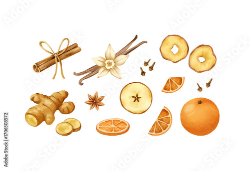 Christmas spices isolated on transparent background. Watercolour hand-drawn winter fruits and spices 