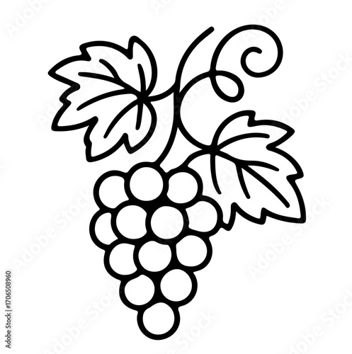 bunch of grapes illustration svg vector