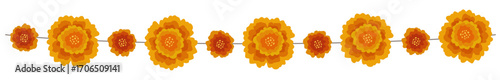 Orange yellow marigold flowers string. Indian traditional floral festive garland toran. Zendu flowers isolated on background Party decor, Halloween, Dia de los Muertos holiday. Vector illustration