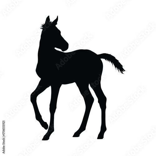 Vector art of silhouette of a cute foal in black and white
