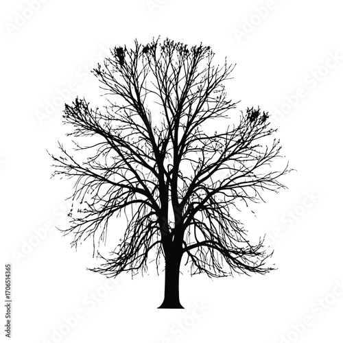 Vector art of silhouette of a bare tree, winter season