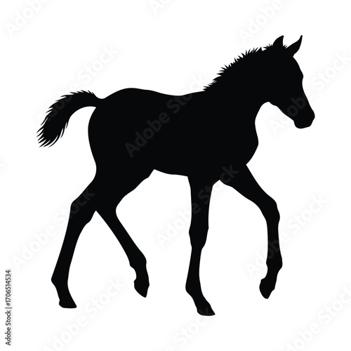 Vector art of silhouette of a foal walking gracefully