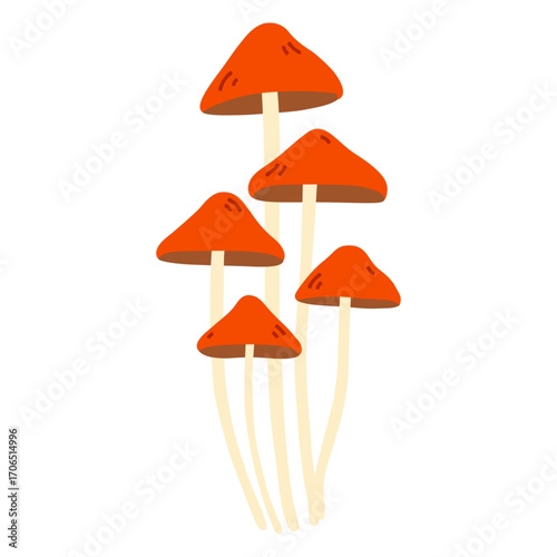 Wild mushrooms with tall thin stems and orange caps. Natural fungi illustration symbolizing autumn, forest life, and organic growth. For themes of magic, mysticism and autumn. Isolated on white