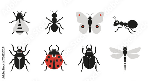 Collection of Stylized Insect Illustrations Featuring Diverse Species.