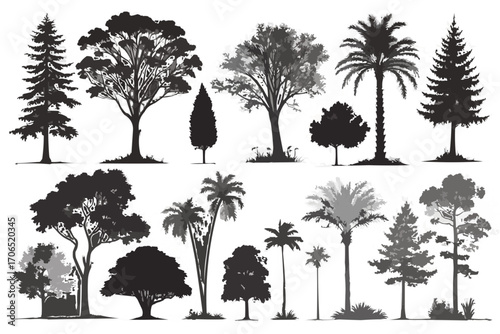 Silhouette illustration showcasing a diverse collection of various tree species and types in nature