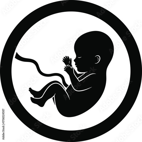 Human fetus silhouette vector illustration, prenatal development icon, pregnancy and maternity design, unborn baby graphic, reproductive health and embryology science clipart