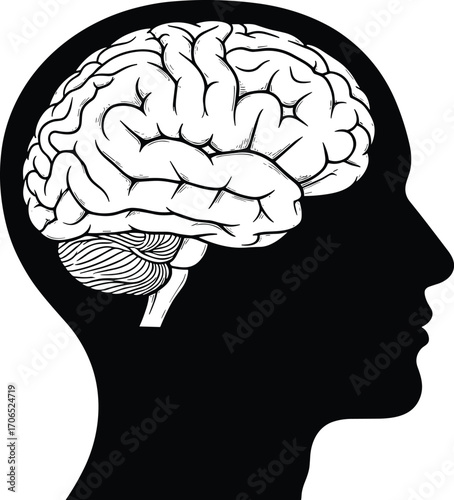 Human head with brain silhouette vector illustration, anatomical mind icon, neuroscience and psychology design, mental health graphic, cognitive science anatomy clipart