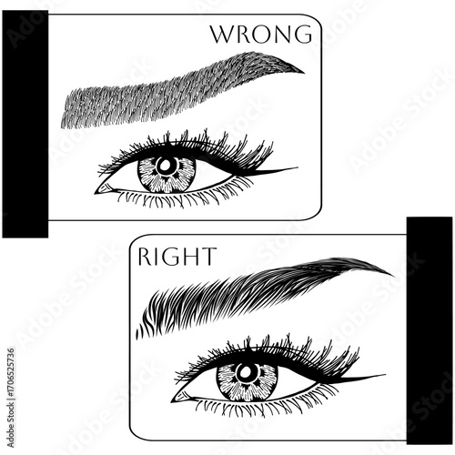 Illustration with woman's eyes, eyelashes and eyebrows. Makeup Look. Tattoo design. Logo for brow bar or lash salon. Wrong and right coloring care. Set of well-groomed and shaggy eyebrows.