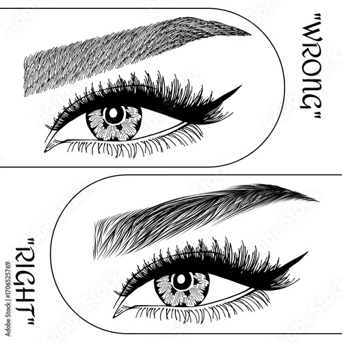 Illustration with woman's eyes, eyelashes and eyebrows. Makeup Look. Tattoo design. Logo for brow bar or lash salon. Wrong and right coloring care. Set of well-groomed and shaggy eyebrows.