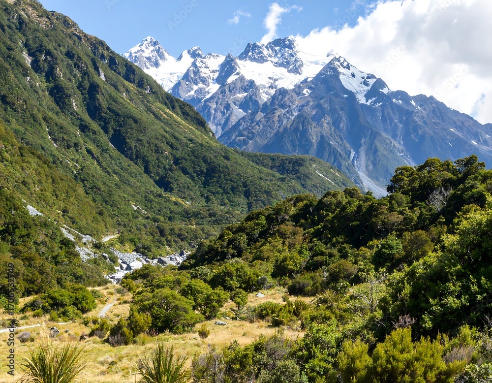 Obraz premium Mountain valley, lush vegetation, snow-capped peaks