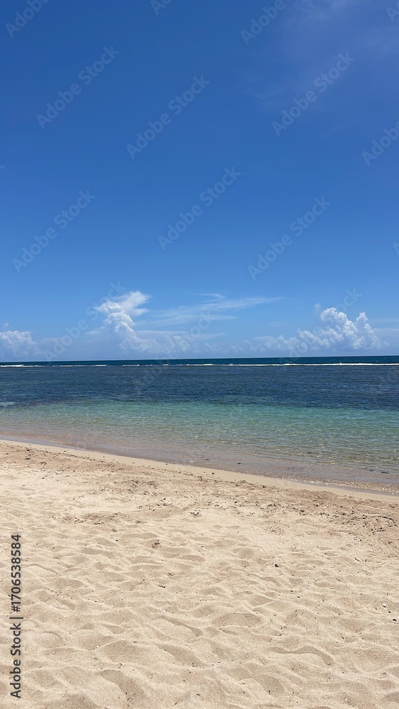 Fototapeta premium Caribbean beach
