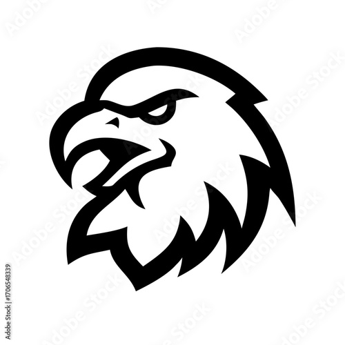 Strong stylized eagle head emblem with a fierce expression
