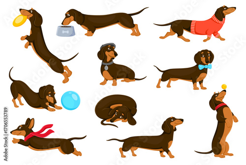 Cartoon dachshund dog puppy characters activities and fun. Vector doggy personage playing outdoors with a ball and flying plate, wearing clothes and accessories, curling up, walking or eating food