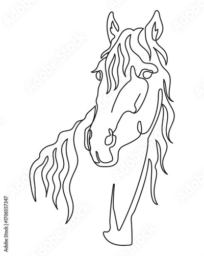One line drawing horse head monochrome vector artwork