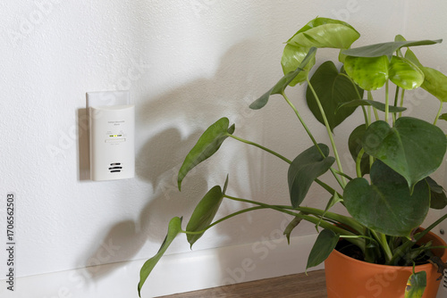 Carbon monoxide detector. Plug-in carbon monoxide alarm