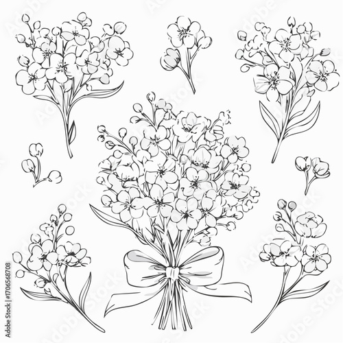 Babys Breath Flower Line Art Set