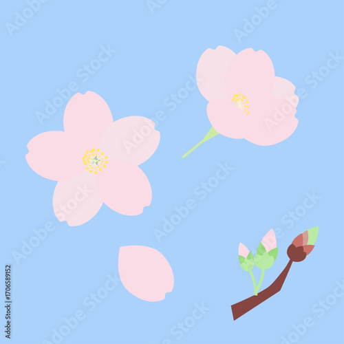 桜の花のイラスト素材