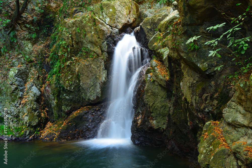 Fototapeta premium 仙厳の滝 静岡県浜松市